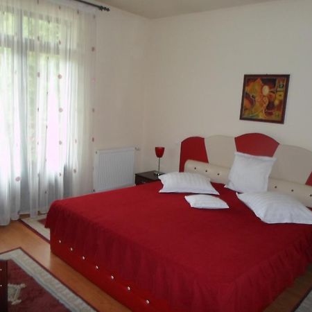 Hotel Pensiunea Speranta Sovata Zewnętrze zdjęcie
